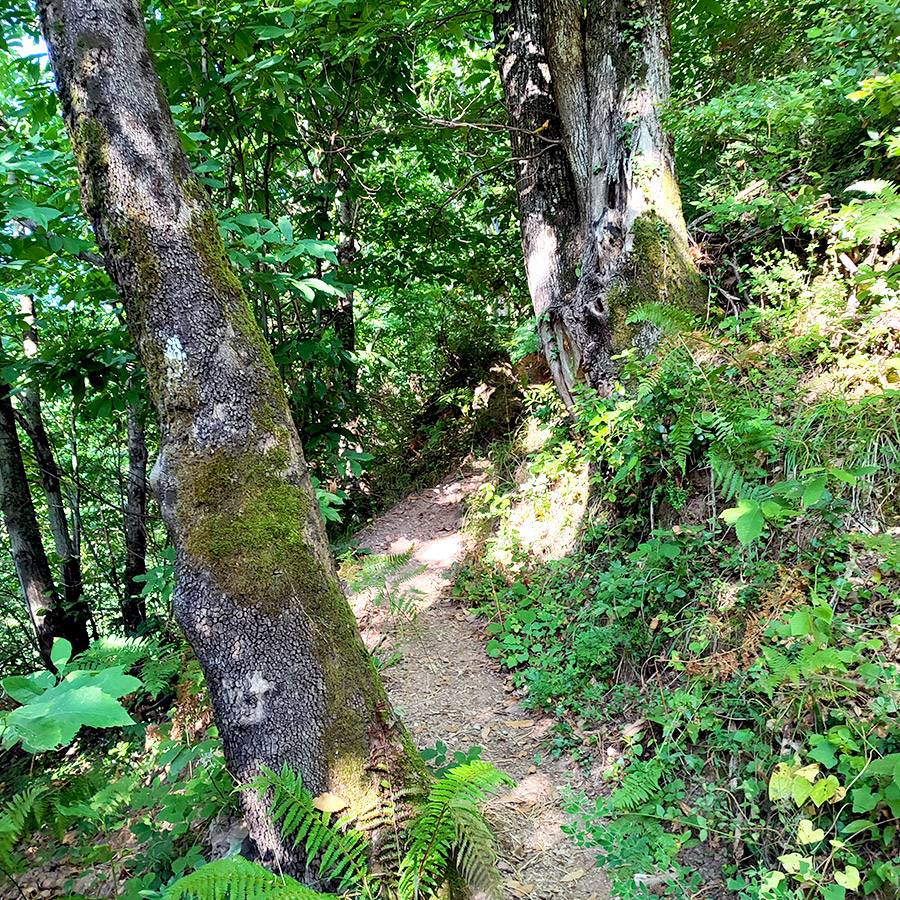Hiking_Pelio_Kissos_Tympanos_Springs_Waterfall_08