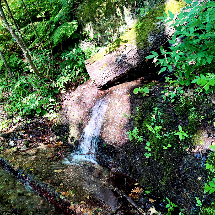 Hiking_Pelio_Kissos_Tympanos_Springs_Waterfall_10