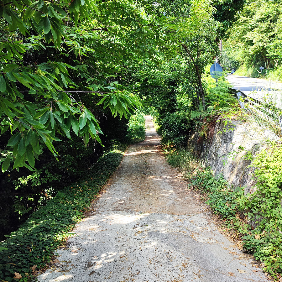 Hiking_Poros_Stream_Waterfall_Makrirachi_Pelion_02