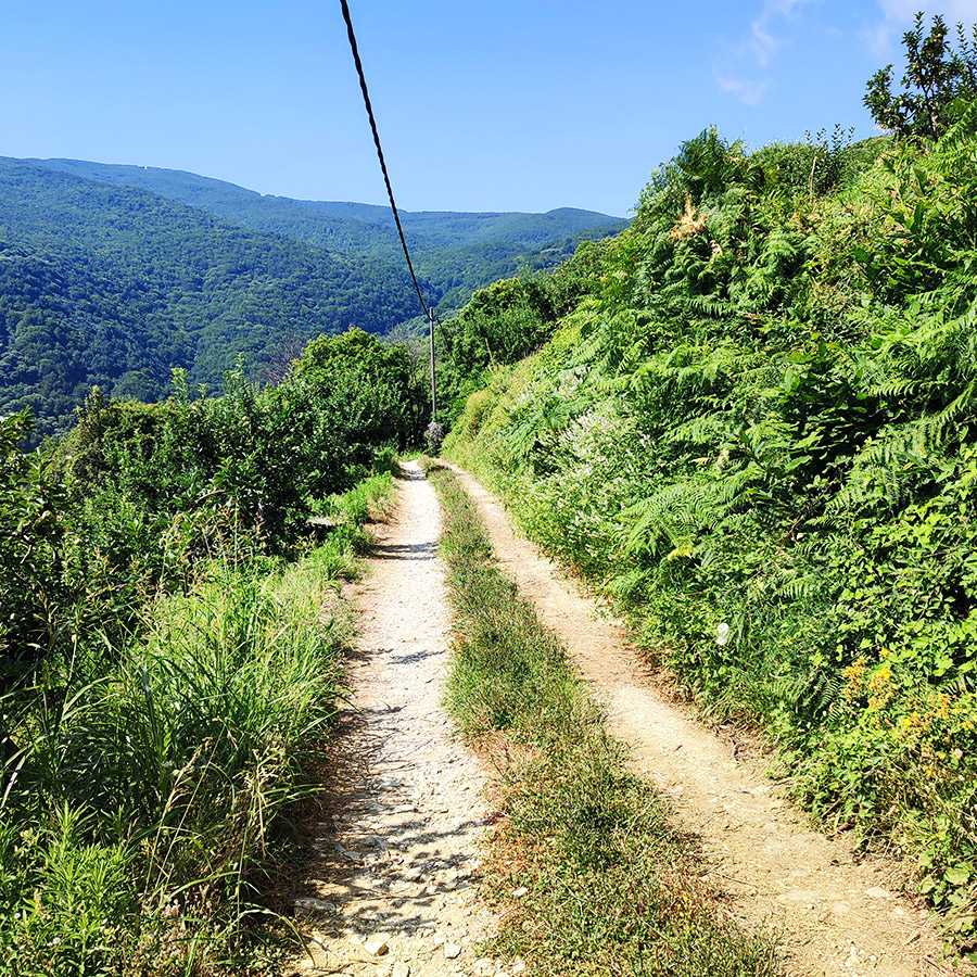 Hiking_Poros_Stream_Waterfall_Makrirachi_Pelion_03