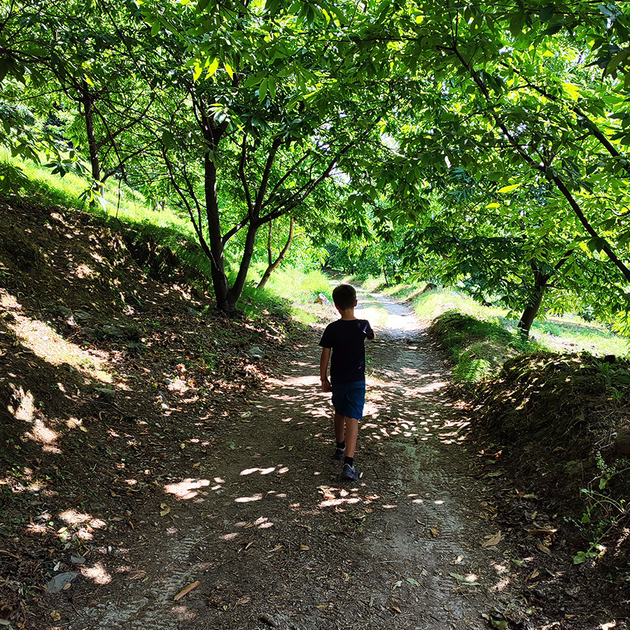 Hiking_Poros_Stream_Waterfall_Makrirachi_Pelion_07