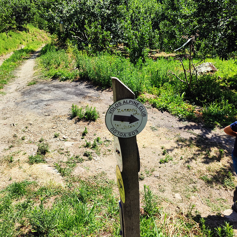 Hiking_Poros_Stream_Waterfall_Makrirachi_Pelion_08