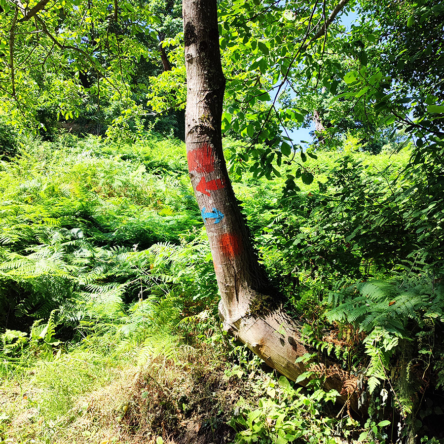 Hiking_Poros_Stream_Waterfall_Makrirachi_Pelion_09