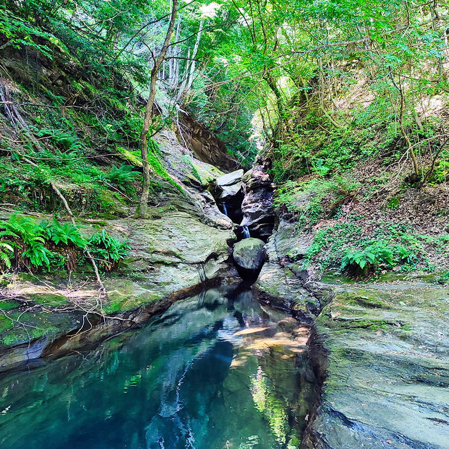 Hiking_Poros_Stream_Waterfall_Makrirachi_Pelion_10