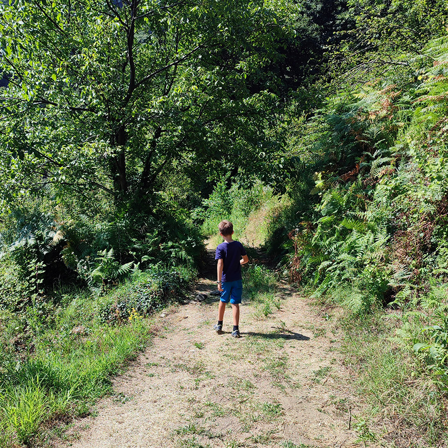 Hiking_Poros_Stream_Waterfall_Makrirachi_Pelion_15