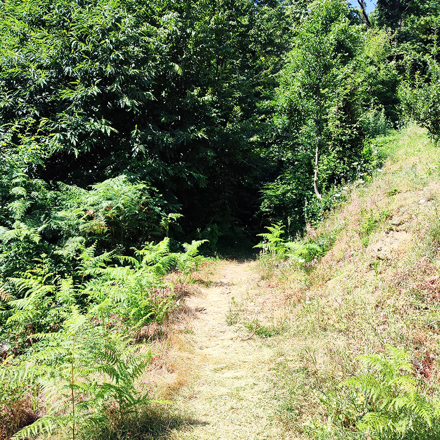 Hiking_Poros_Stream_Waterfall_Makrirachi_Pelion_17