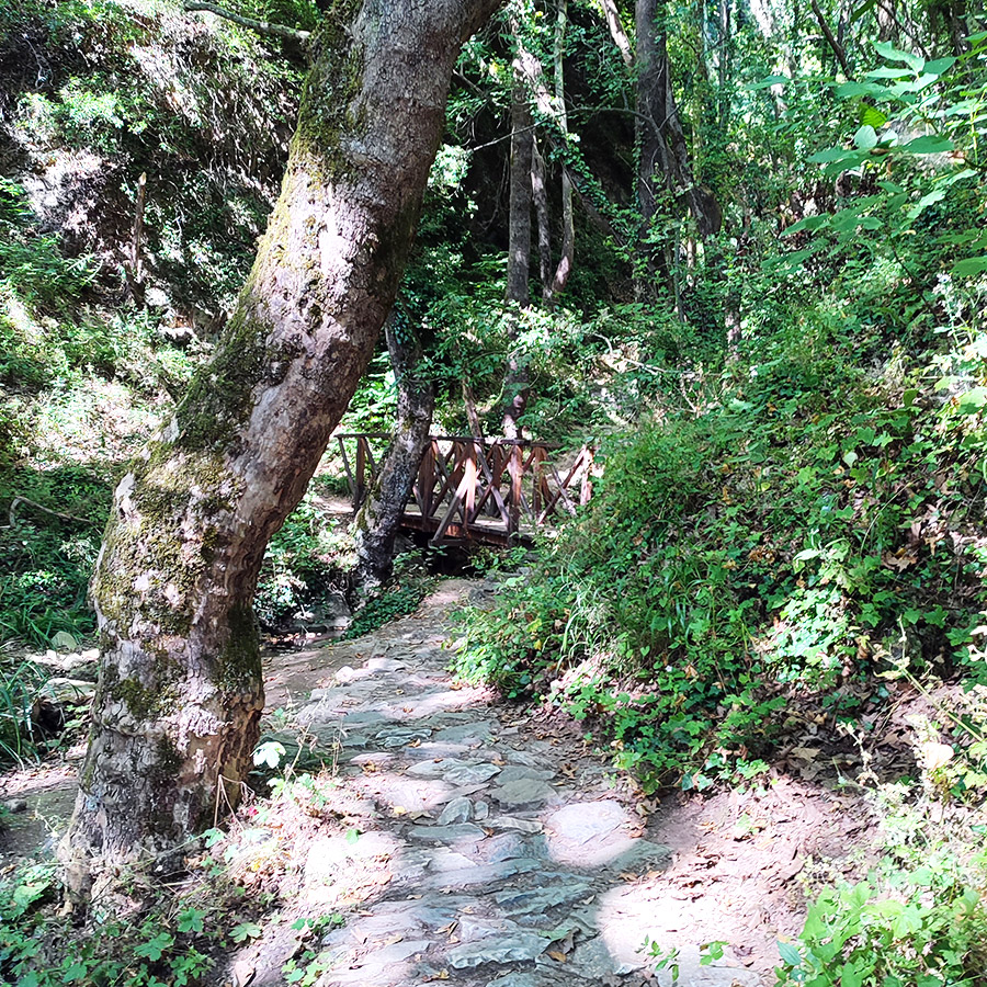 Hiking_The_Centaurs_Trail_in_Portaria_Pelion_02