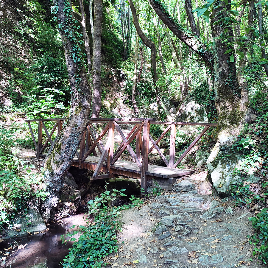 Hiking_The_Centaurs_Trail_in_Portaria_Pelion_03