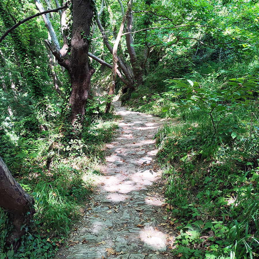 Hiking_The_Centaurs_Trail_in_Portaria_Pelion_08