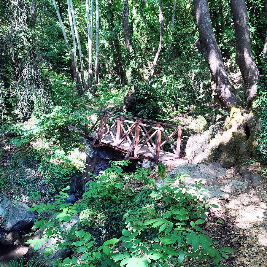 Hiking_The_Centaurs_Trail_in_Portaria_Pelion_09