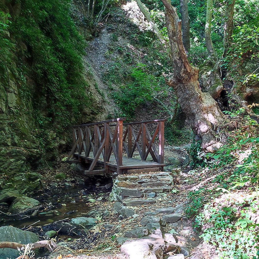 Hiking_The_Centaurs_Trail_in_Portaria_Pelion_10