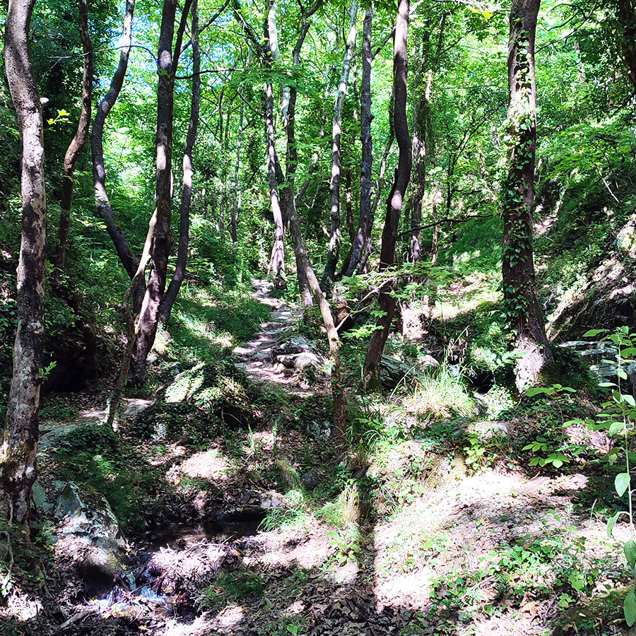 Hiking_The_Centaurs_Trail_in_Portaria_Pelion_11