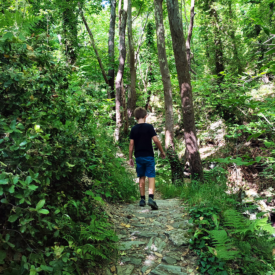 Hiking_The_Centaurs_Trail_in_Portaria_Pelion_12