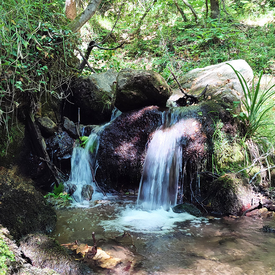 Hiking_The_Centaurs_Trail_in_Portaria_Pelion_13