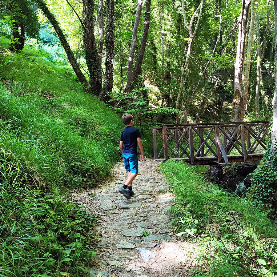 Hiking_The_Centaurs_Trail_in_Portaria_Pelion_15