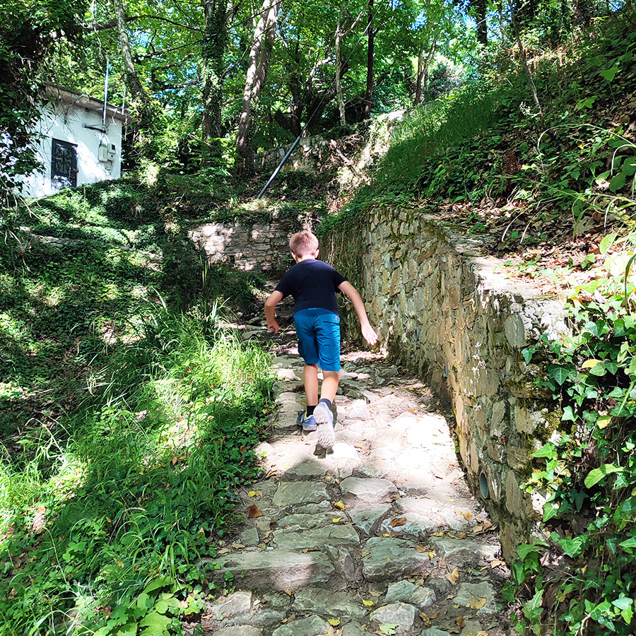 Hiking_The_Centaurs_Trail_in_Portaria_Pelion_16
