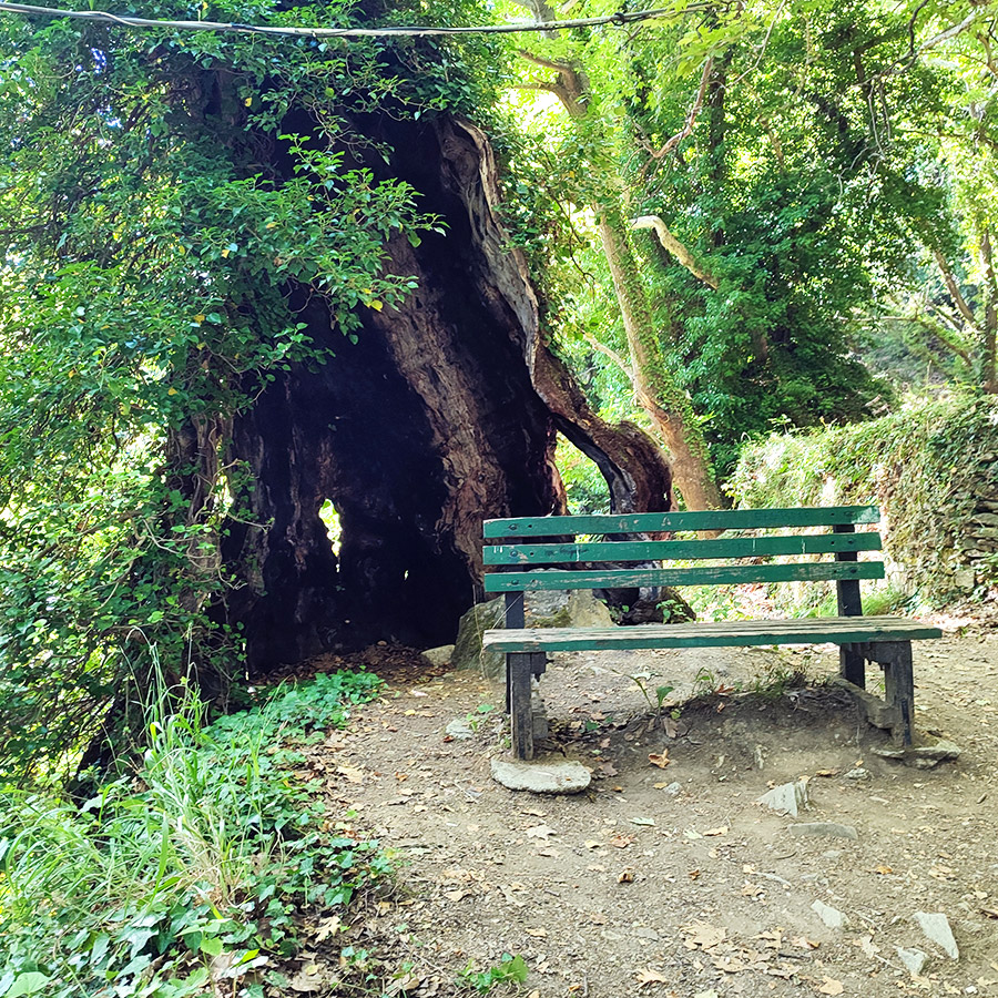 Hiking_The_Centaurs_Trail_in_Portaria_Pelion_18
