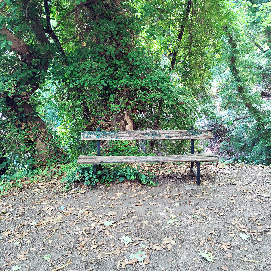 Hiking_The_Centaurs_Trail_in_Portaria_Pelion_19