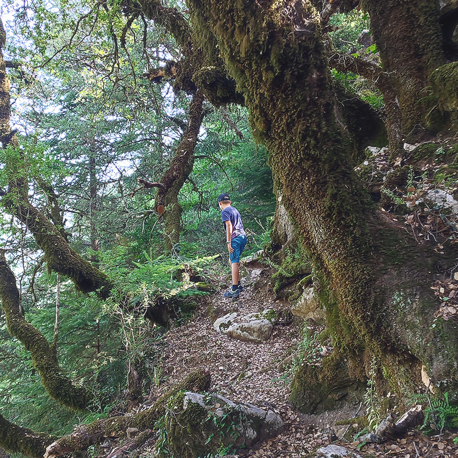 Hiking_Tzoumerka_Athamanika_Melissourgoi_Kryoneri_Waterfall_13