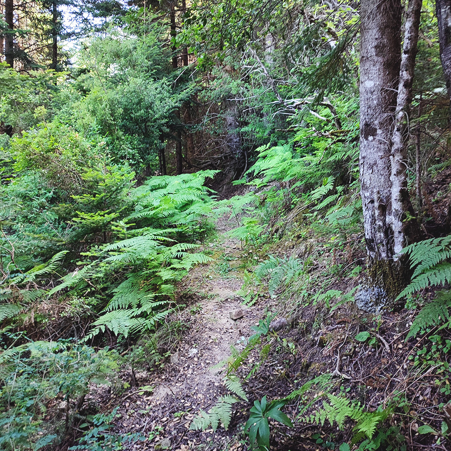 Hiking_Tzoumerka_Athamanika_Melissourgoi_Kryoneri_Waterfall_21