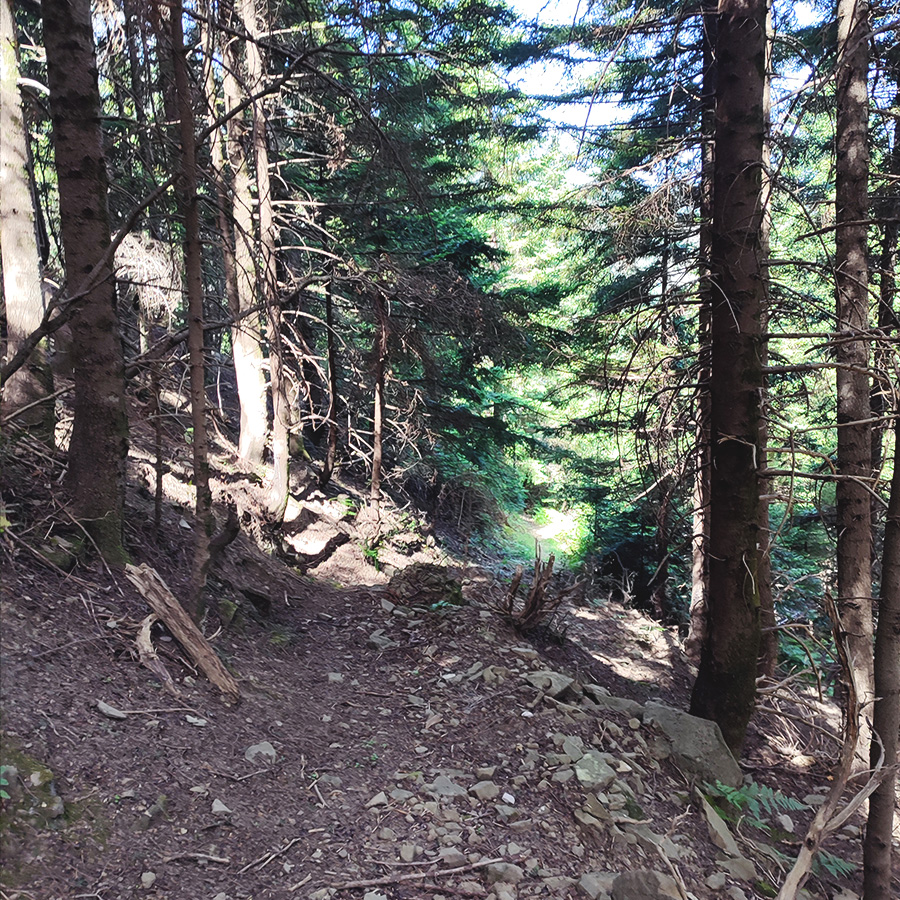 Hiking_Tzoumerka_Athamanika_Melissourgoi_Kryoneri_Waterfall_29