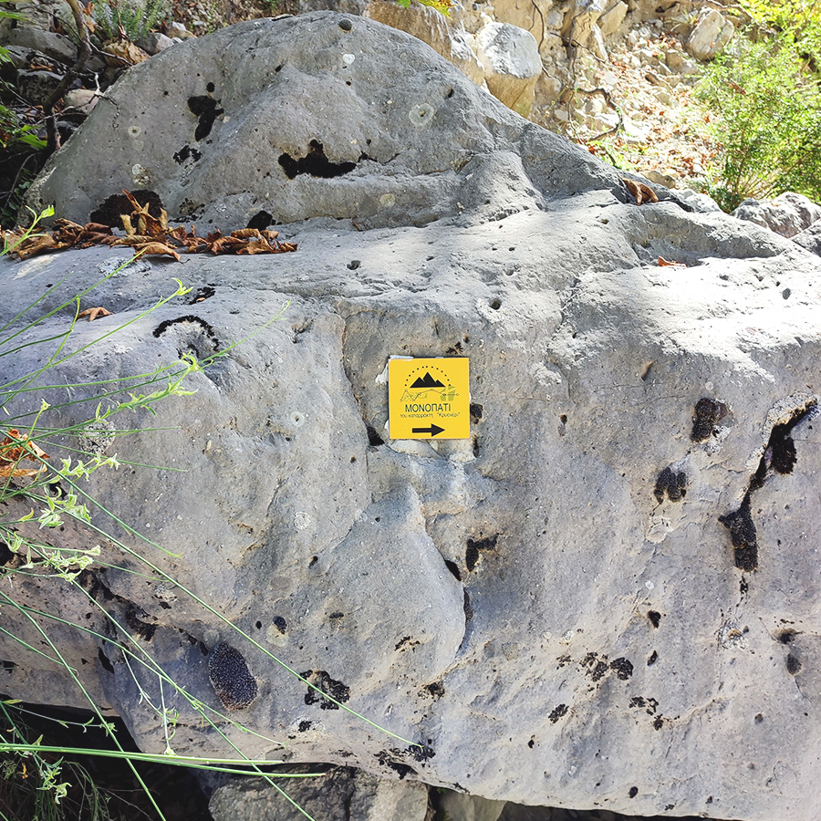 Hiking_Tzoumerka_Athamanika_Melissourgoi_Kryoneri_Waterfall_34