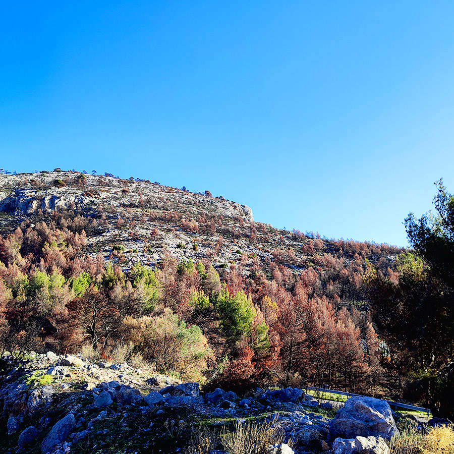 La_Vita_e_Bella_Arma_Parnitha_Attica_01