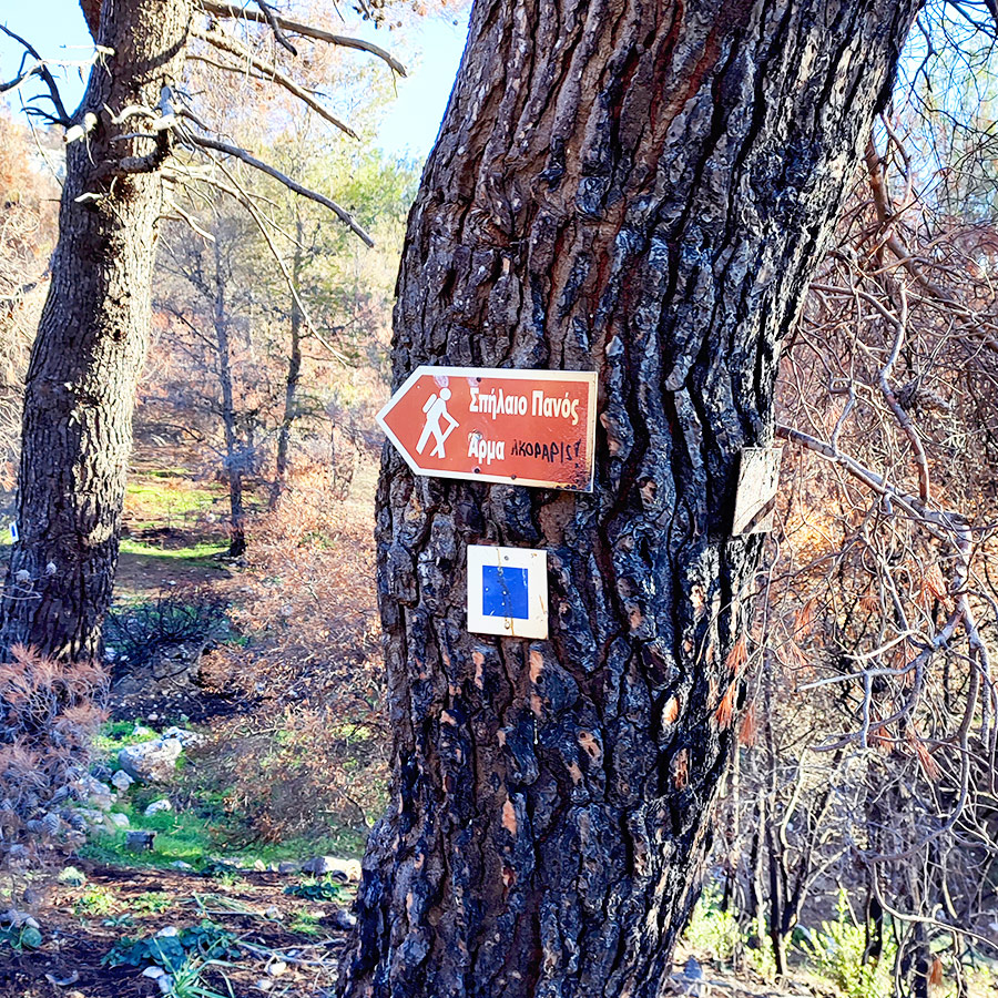 La_Vita_e_Bella_Arma_Parnitha_Attica_02