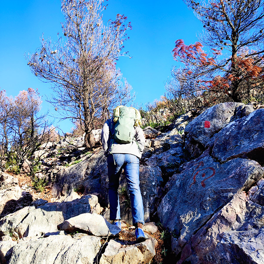 La_Vita_e_Bella_Arma_Parnitha_Attica_04