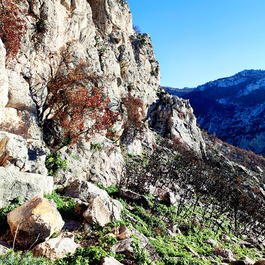 La_Vita_e_Bella_Arma_Parnitha_Attica_06