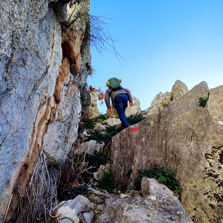 La_Vita_e_Bella_Arma_Parnitha_Attica_08