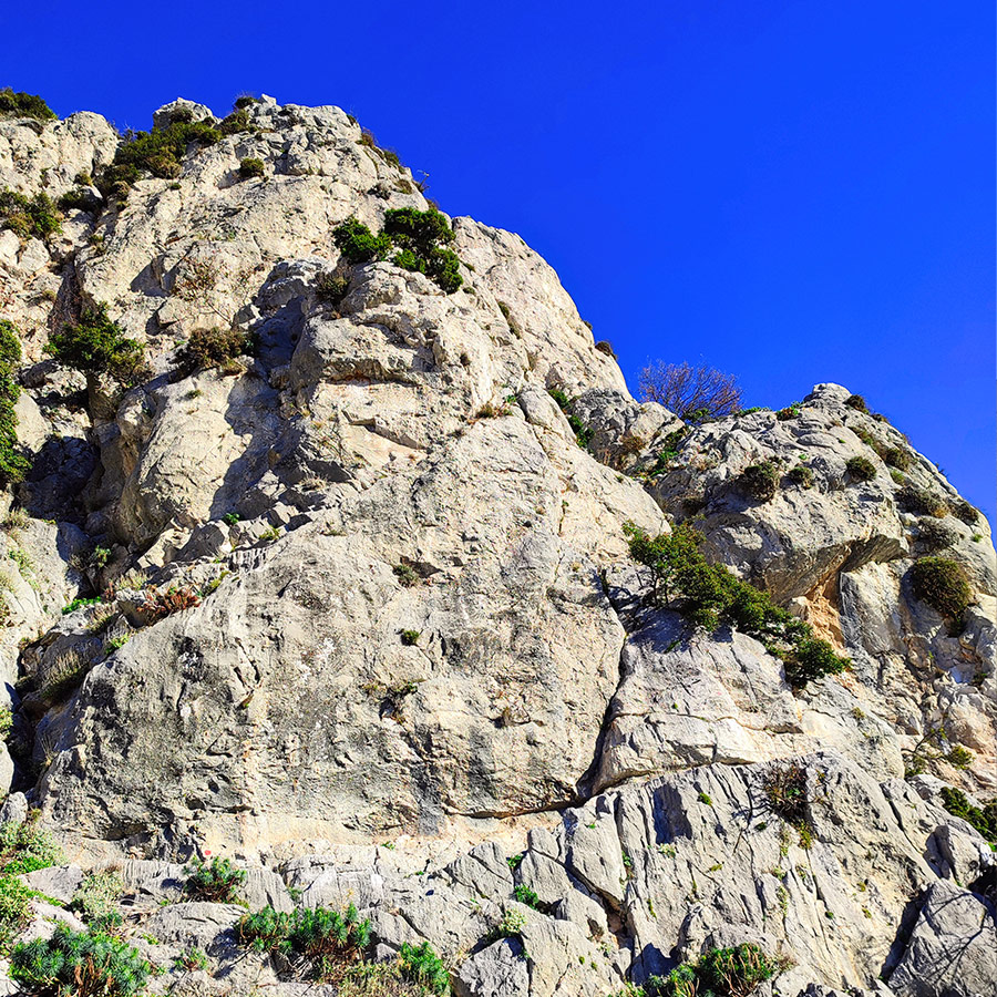 La_Vita_e_Bella_Arma_Parnitha_Attica_09