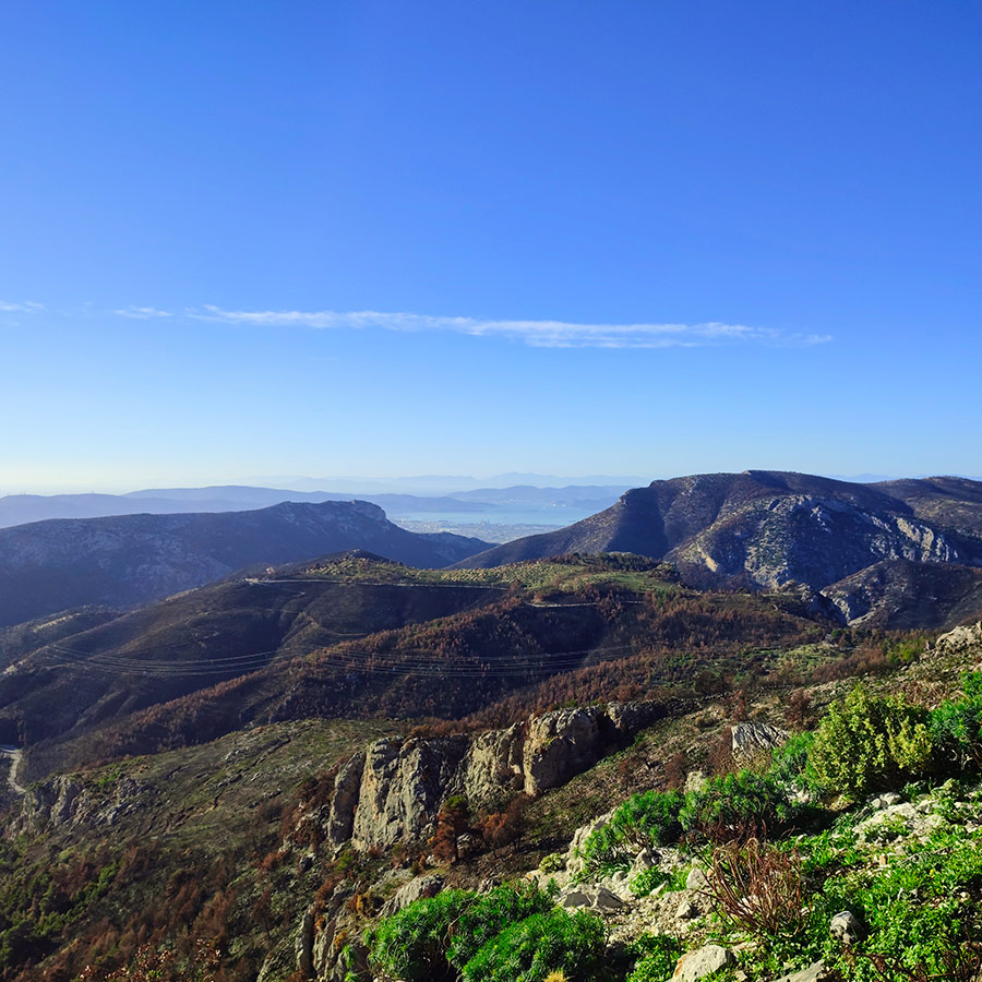 La_Vita_e_Bella_Arma_Parnitha_Attica_12