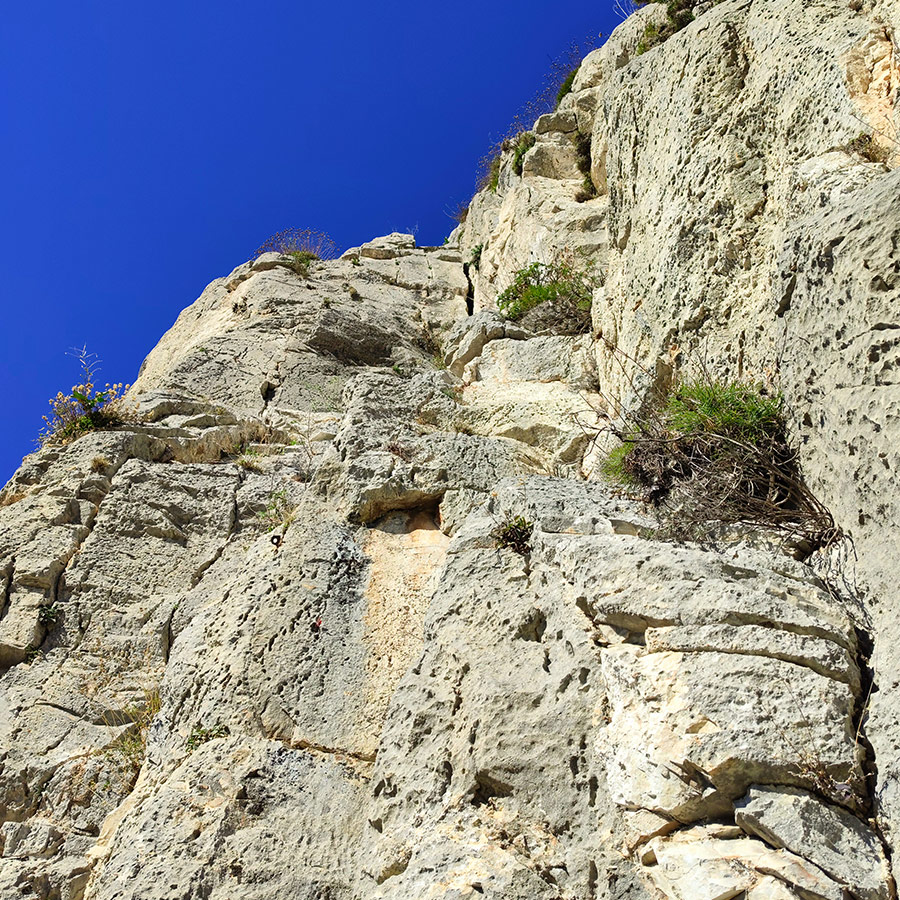 La_Vita_e_Bella_Arma_Parnitha_Attica_27