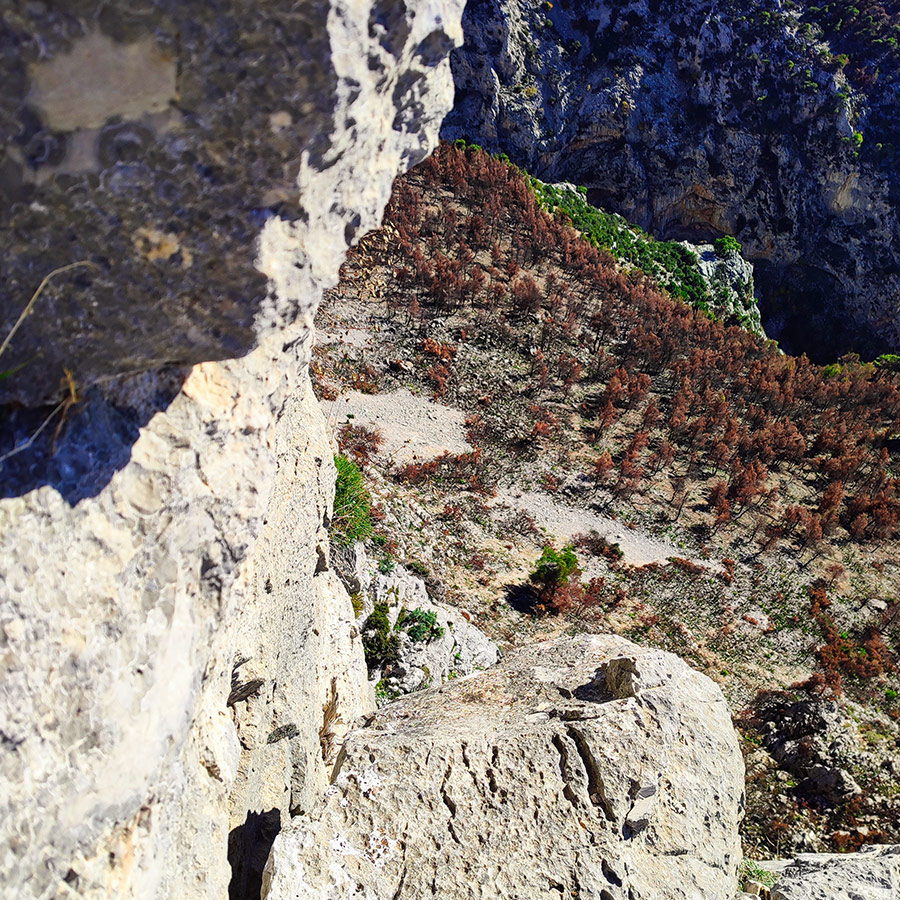 La_Vita_e_Bella_Arma_Parnitha_Attica_34