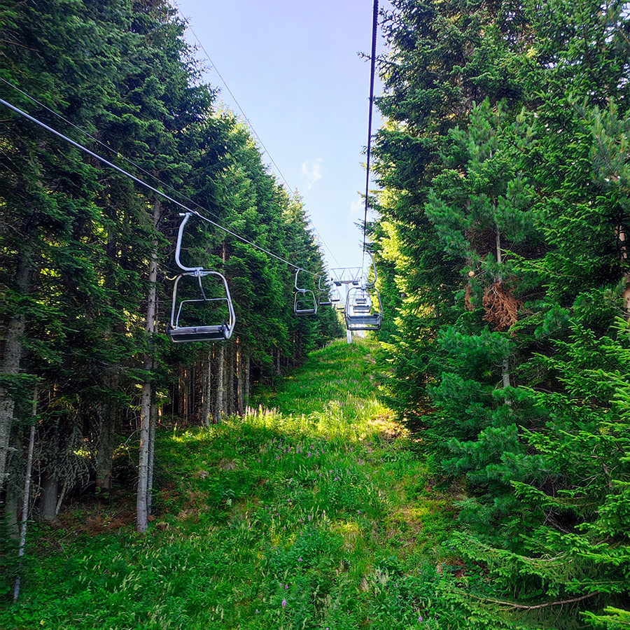 Chairlift ascending through dense pine forest in Rila Mountain, Bulgaria.