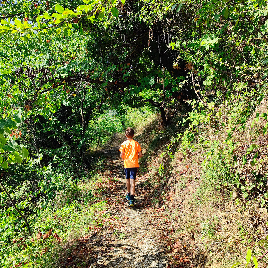 Child hiking through shaded forest trail to Anthochori Waterfall, Agrafa mountains, Greece
