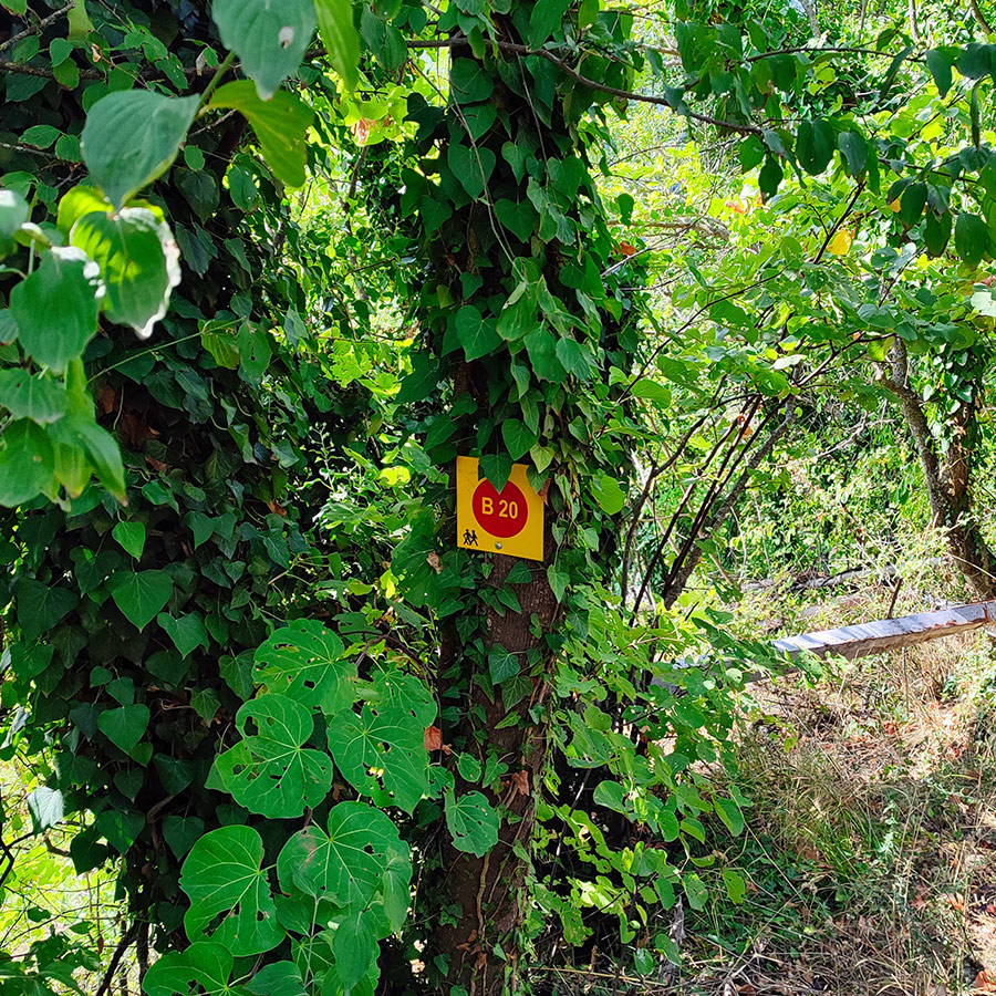Trail sign B20 marking the hiking path to Anthochori Waterfall, Agrafa, Karditsa, Greece