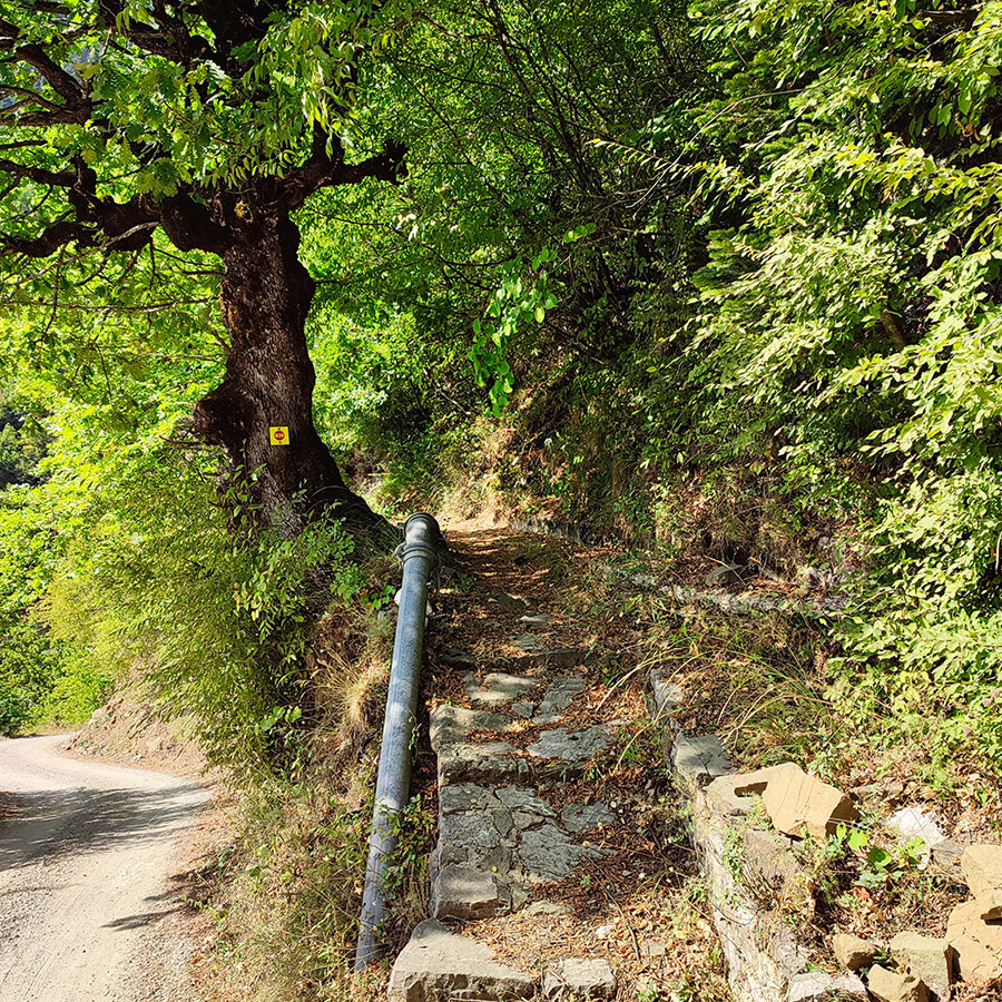 Stone steps on the hiking trail to Anthochori Waterfall in Agrafa, Karditsa, Greece