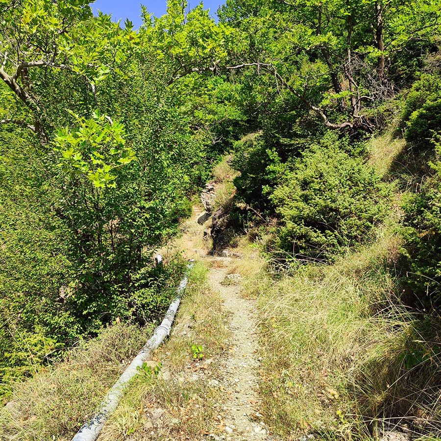 Narrow forest trail with water pipe on the path to Anthochori Waterfall, Agrafa, Greece