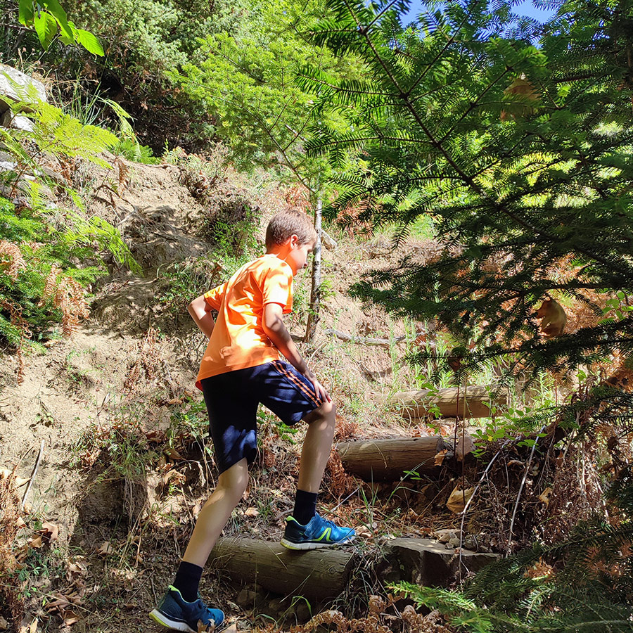 Young hiker climbing forest steps on the way to Anthochori Waterfall, Agrafa, Greece