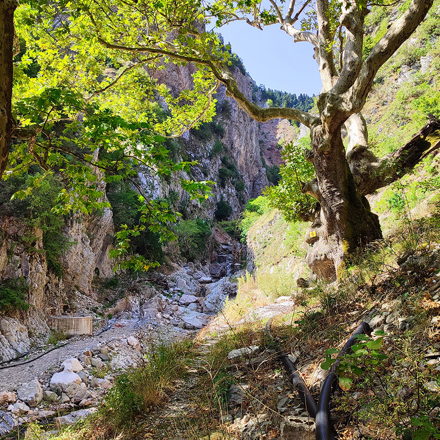 Canyon view with rocky cliffs near Anthochori Waterfall, Agrafa, Karditsa, Greece