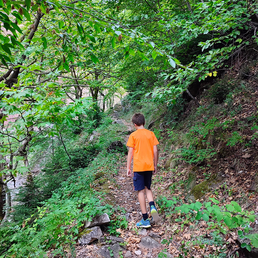 Young hiker walking through lush green forest towards Anthochori Waterfall, Agrafa, Greece