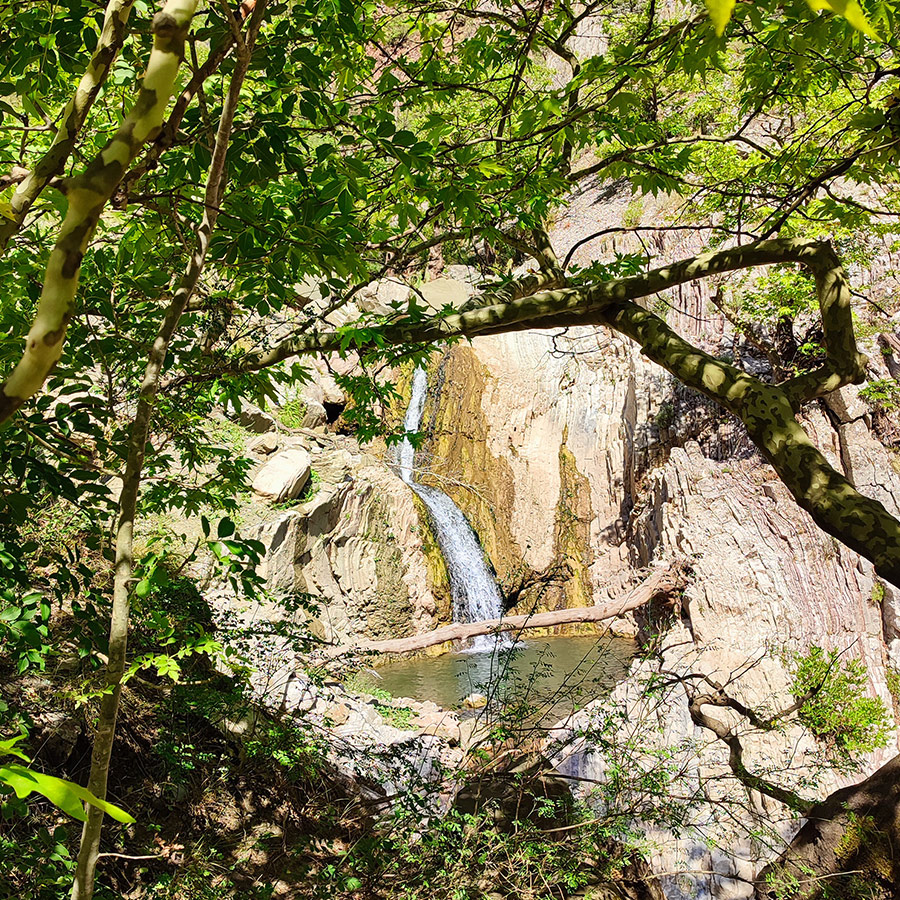 View of Anthochori Waterfall through trees, Agrafa, Karditsa, Greece