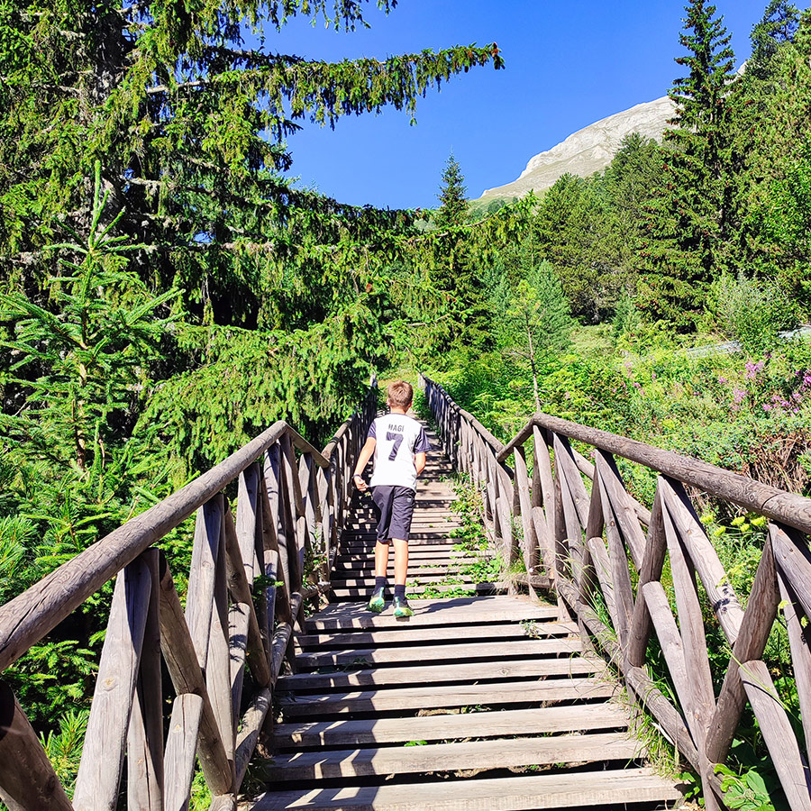 Wooden staircase trail surrounded by pine trees on the way to Baykusheva Mura near Bansko.