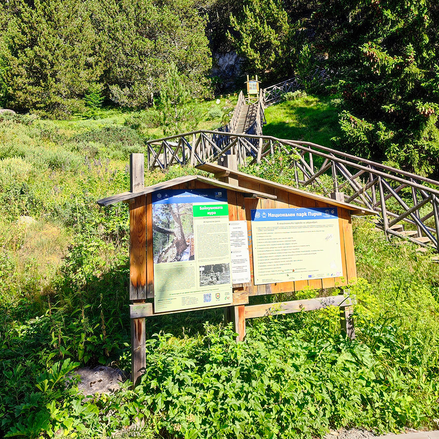 Wooden pathway and information board on the trail to Baykusheva Mura in Pirin National Park.