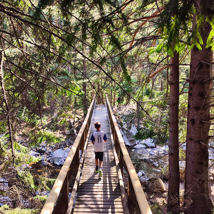 Child crossing a wooden bridge surrounded by pine forest on the Beli Iskar Eco Trail.