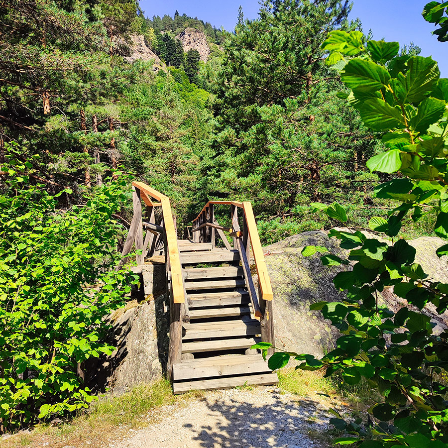 Wooden staircase on the Beli Iskar Eco Trail surrounded by lush greenery.