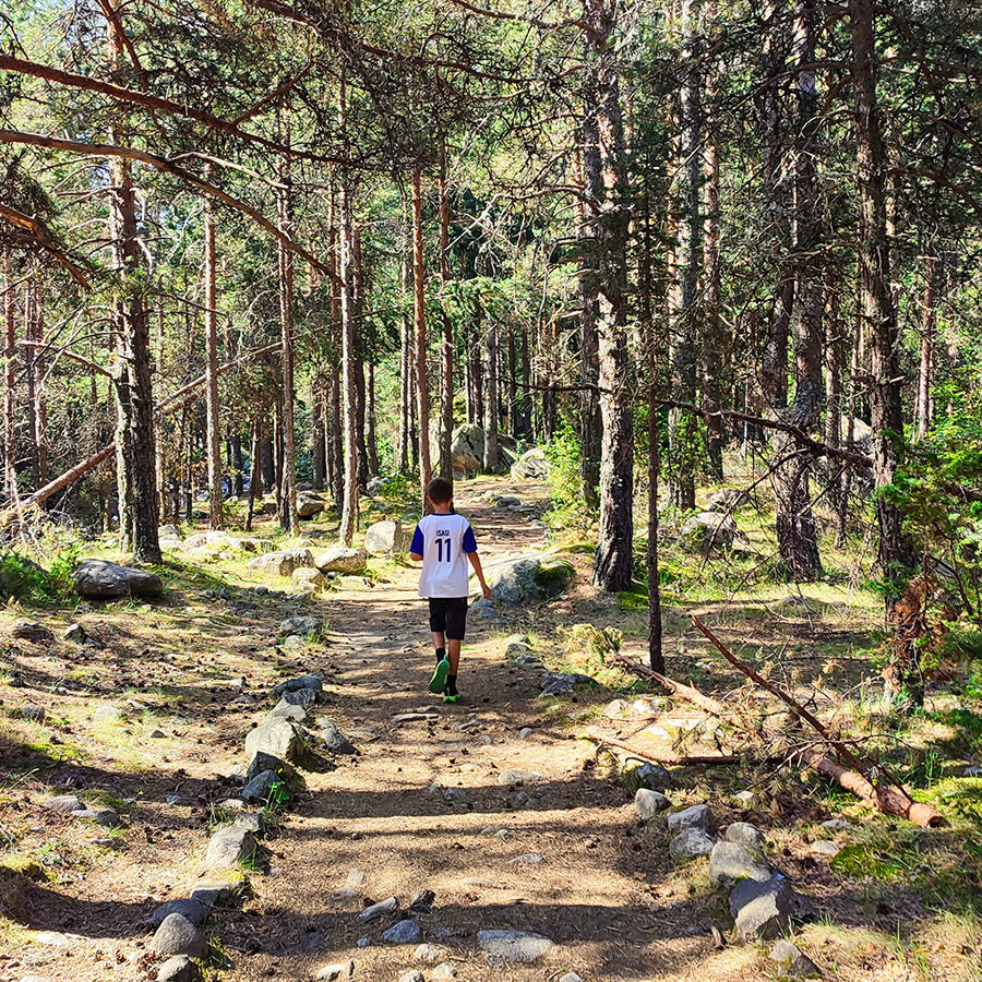 Hiker walking along shaded forest path on the Beli Iskar Eco Trail.