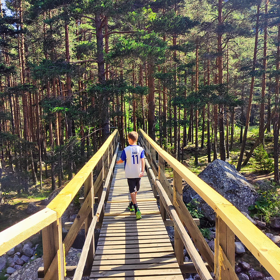 Young hiker crossing a wooden bridge surrounded by tall pines on the Beli Iskar Eco Trail.